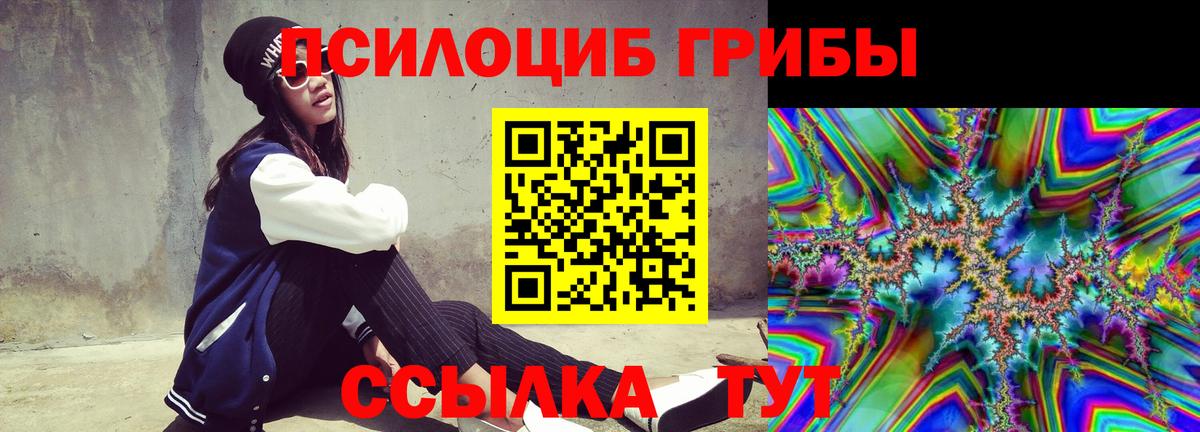 Галлюциногенные грибы Cubensis Богородск
